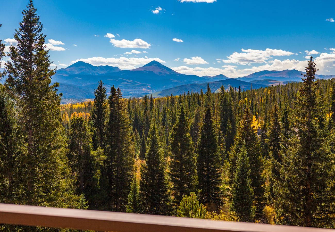 Condominium in Silverthorne - Buffalo Ridge #303C