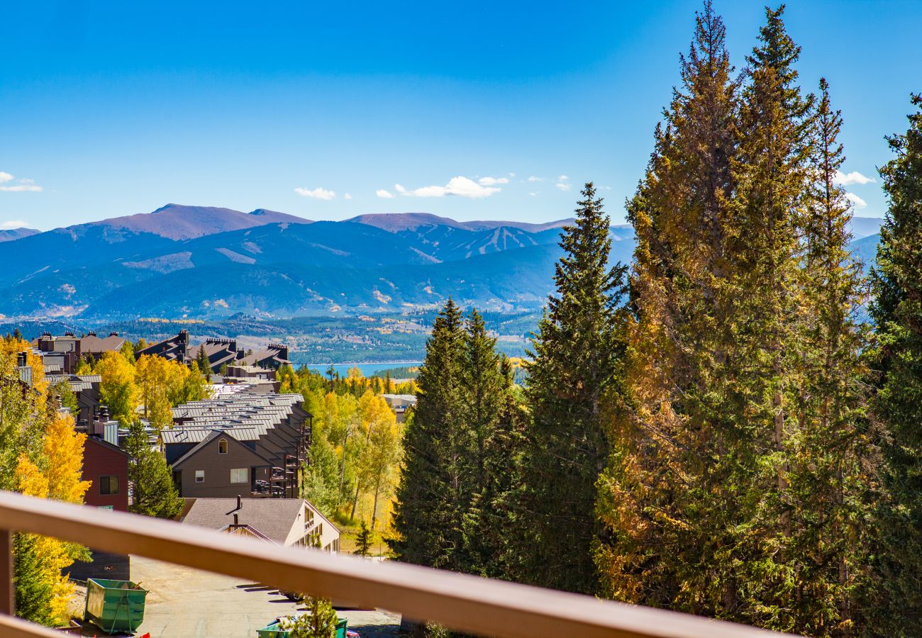 Condominium in Silverthorne - Buffalo Ridge #303C