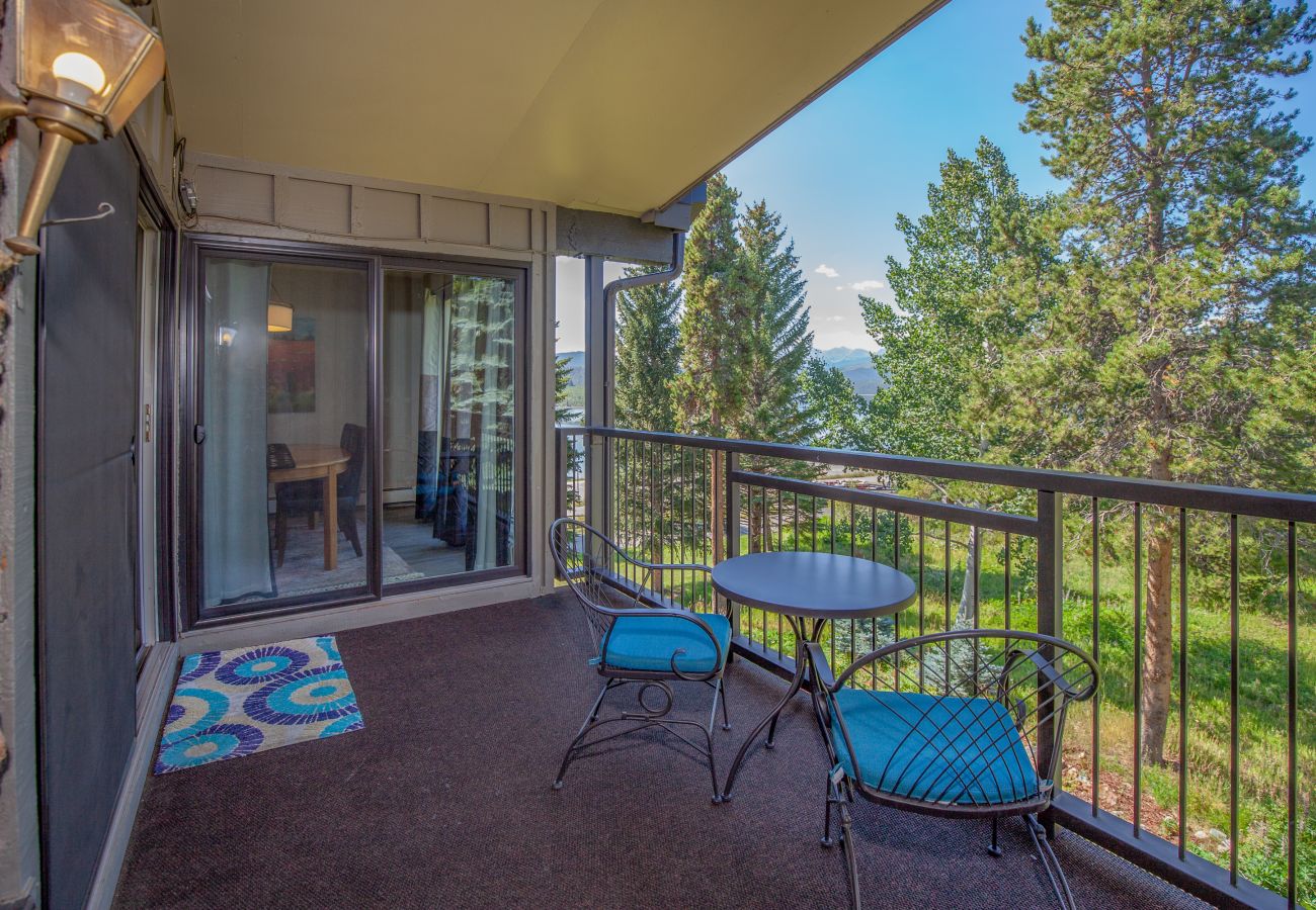 Condominium in Dillon - Lake Cliffe #305A