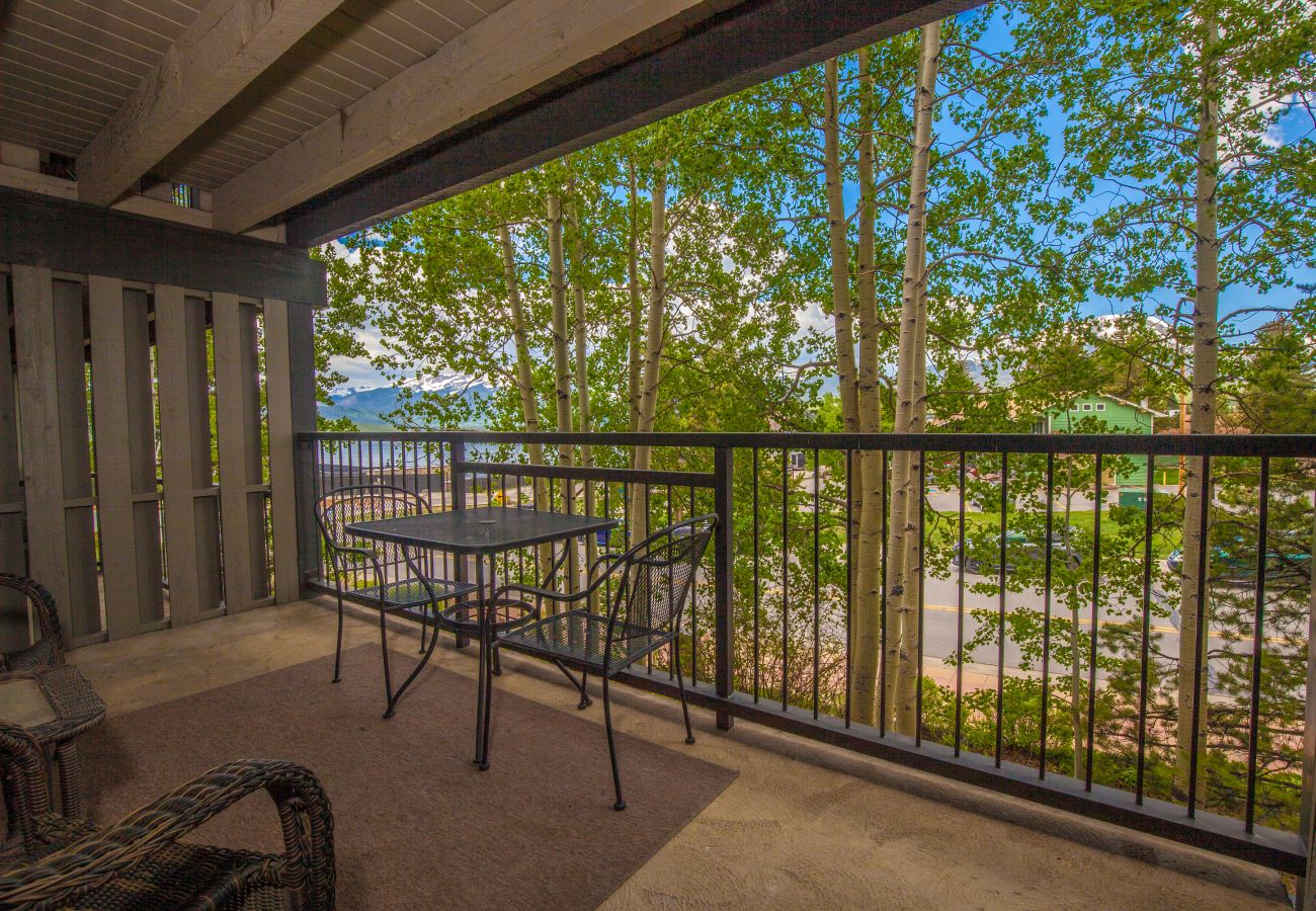 Condominium in Dillon - Lake Cliffe #207E