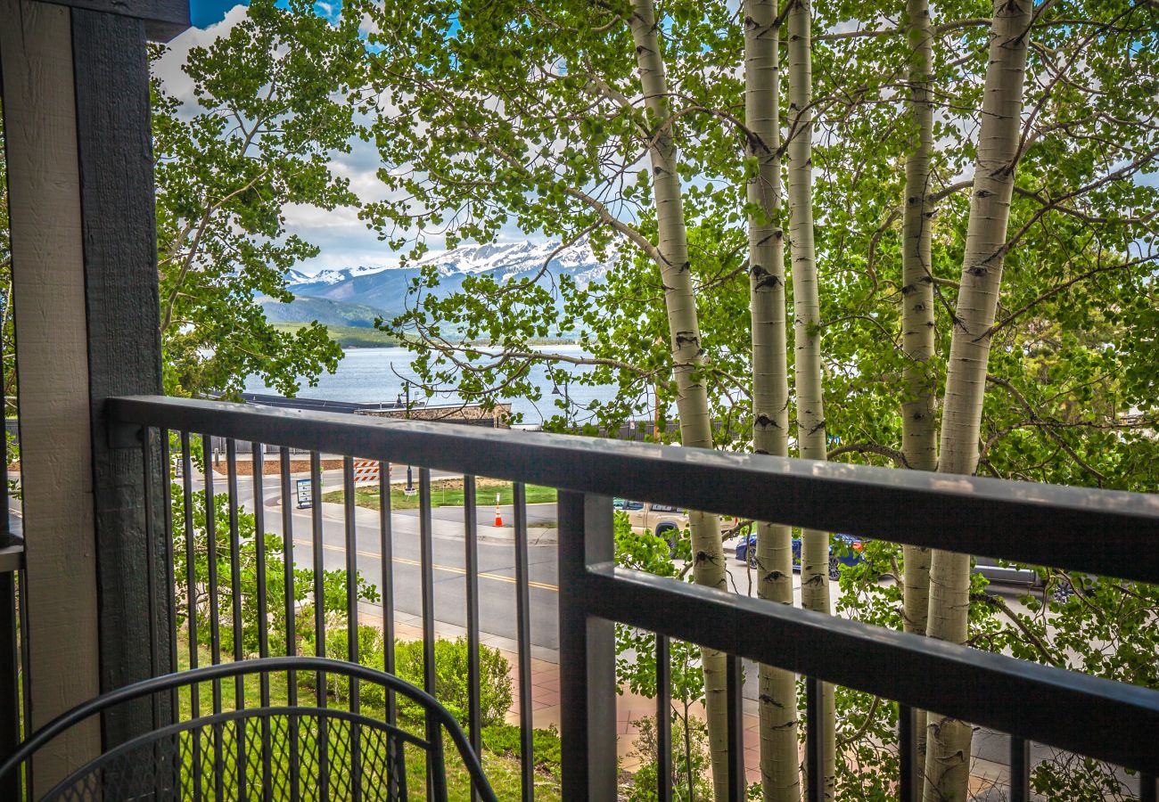 Condominium in Dillon - Lake Cliffe #207E