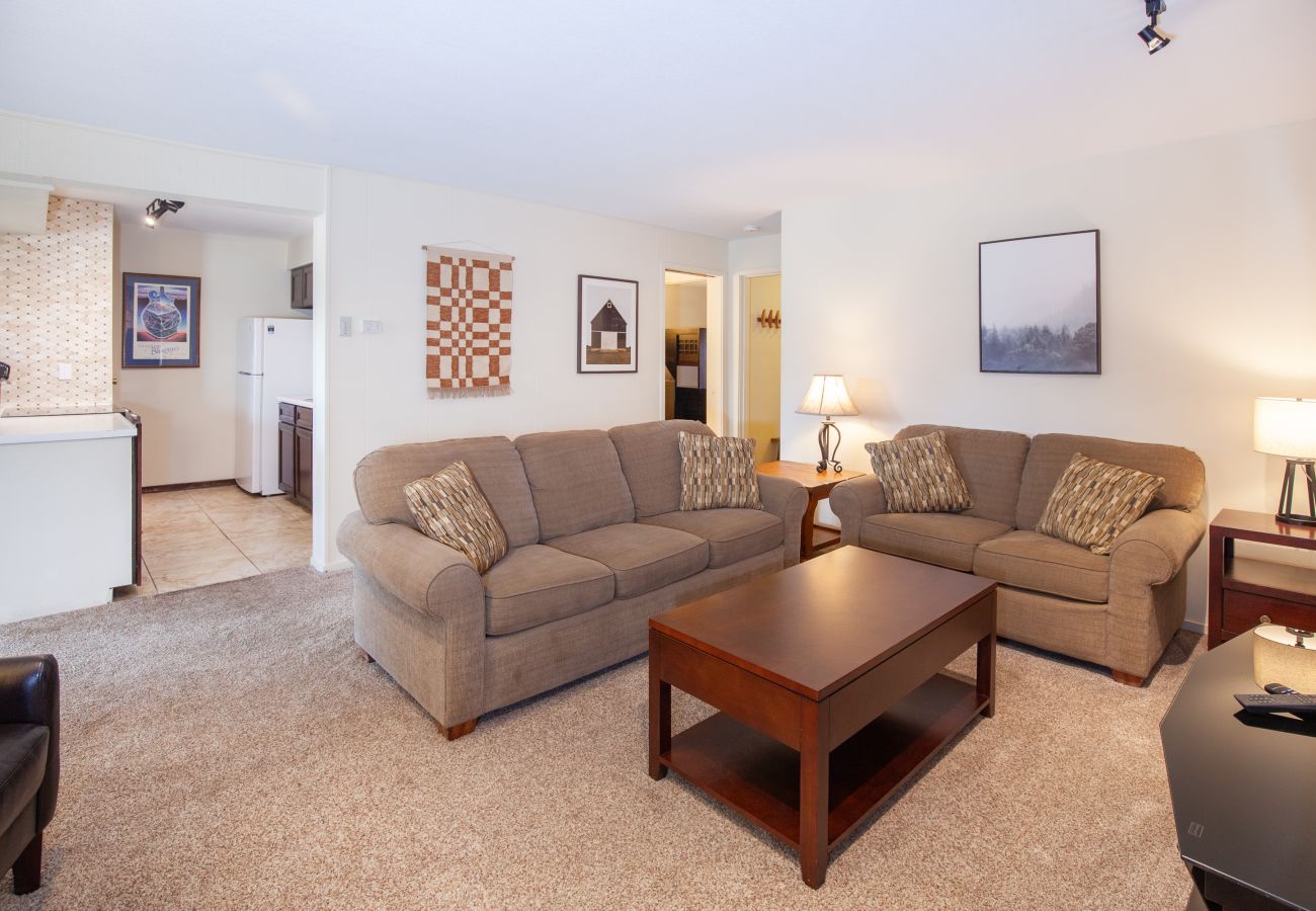 Condominium in Dillon - Lake Cliffe #207E